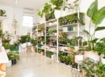 0622-shop-content-056