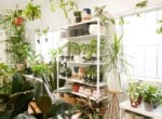 0622-shop-content-069